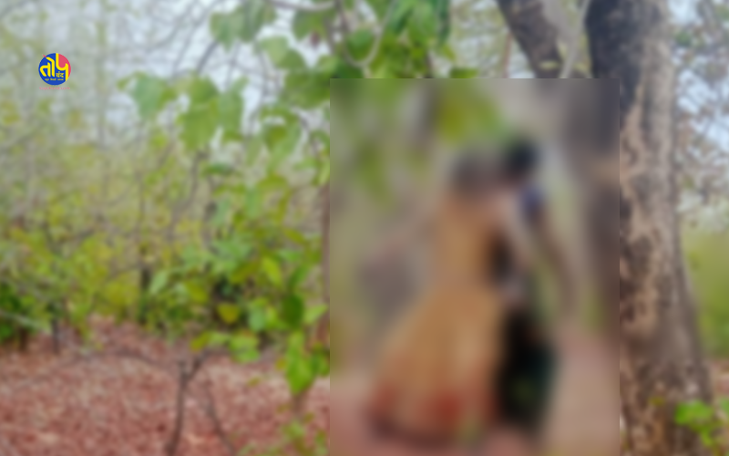 Nanad and Bhabhi hanged together in the forest in Singrauli district