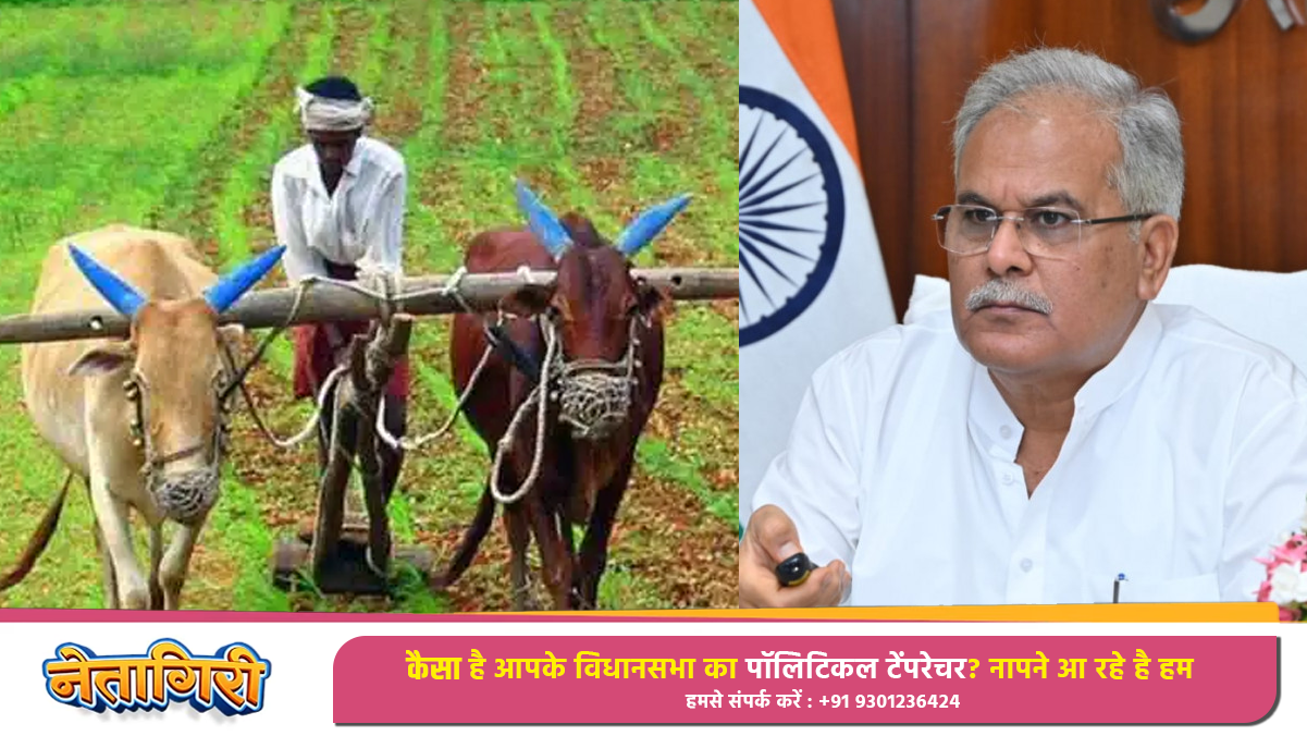 Chief Minister Bhupesh appealed to the farmers