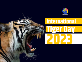 international tiger day 2023