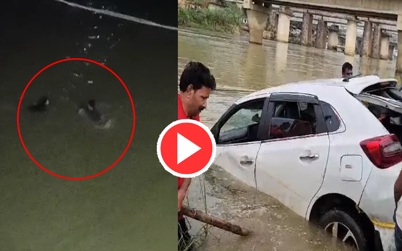 Video: Car washed away in Kelo river | Raigarh car Accident Video